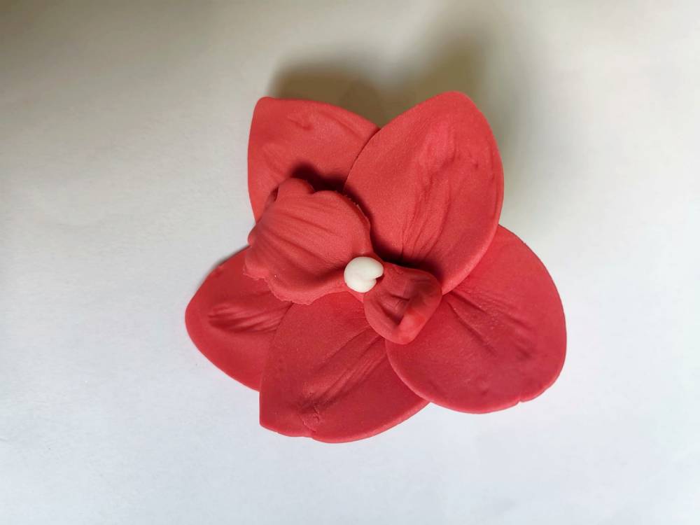 Cukrová orchidej červená (9 ks)