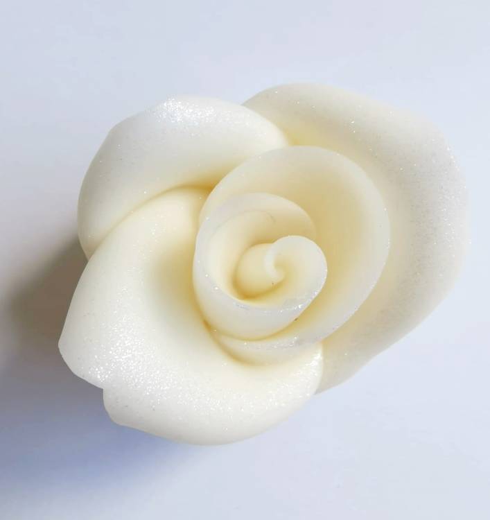 Cukrová růže střední bílá perleťová (25 ks)