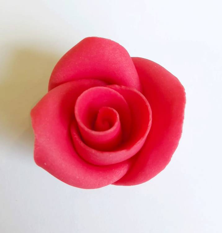 Cukrová růže střední červená (25 ks)