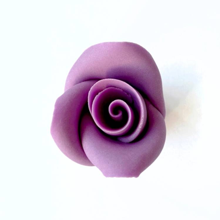 Cukrová růže střední fialová (25 ks)