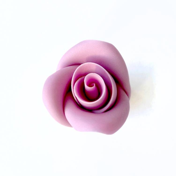 Cukrová růže střední lila (25 ks)