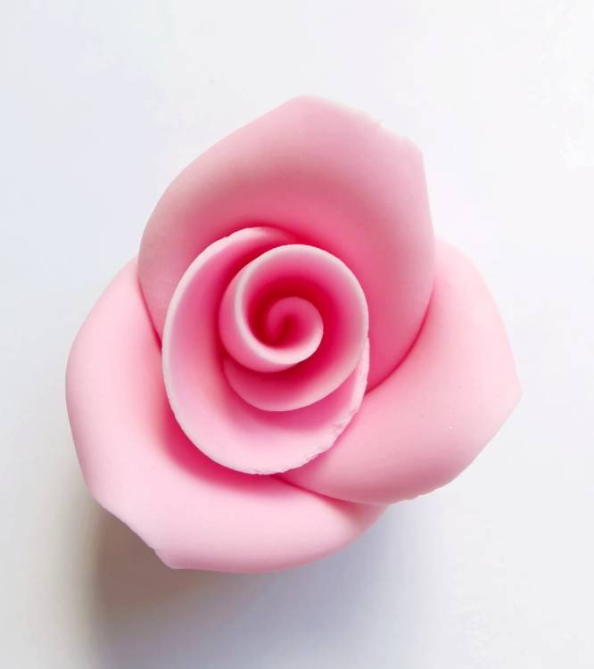 Cukrová růže střední růžová (25 ks)