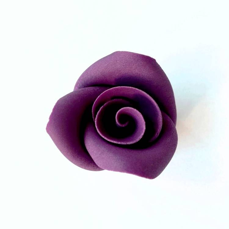 Cukrová růže střední tmavě fialová (25 ks)