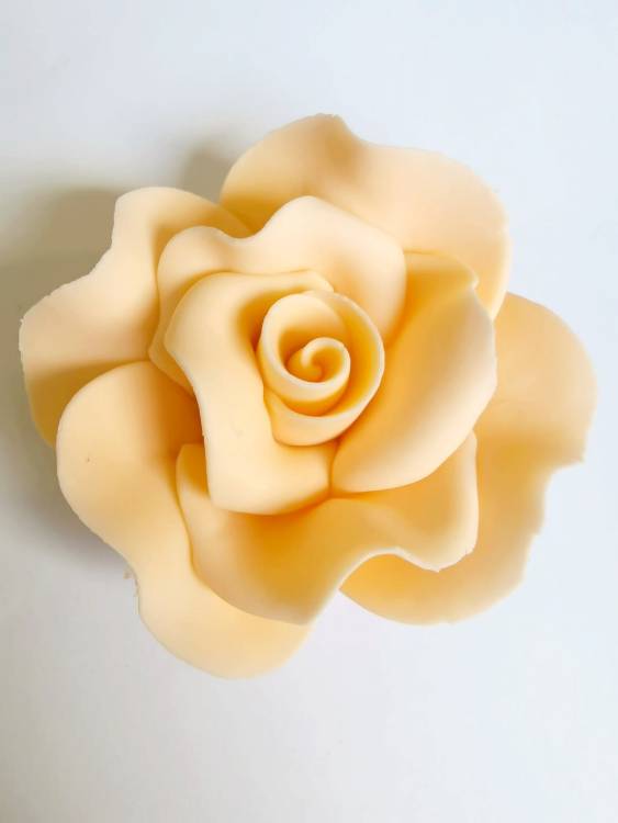 Cukrová růže velká broskvová (9 ks)