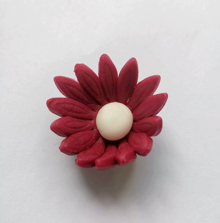 Cukrová sedmikráska malá bordó (25 ks)