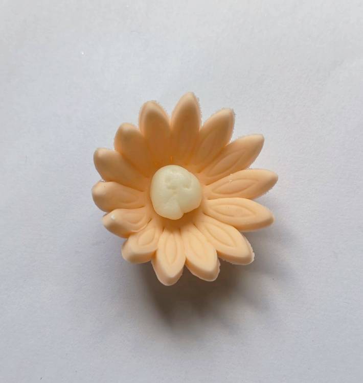 Cukrová sedmikráska malá broskvová (25 ks)