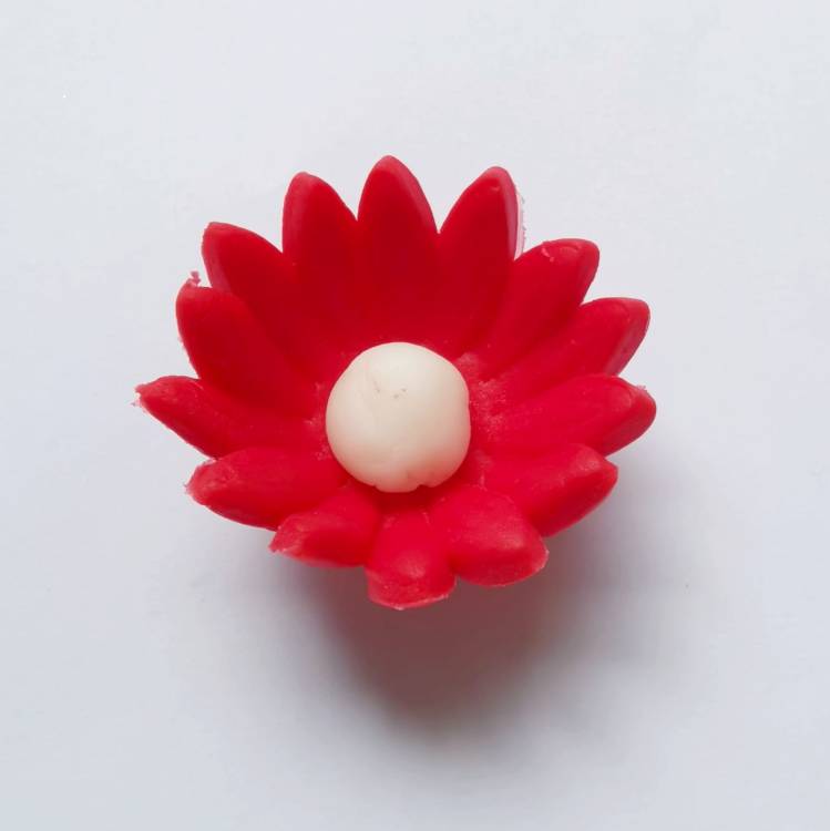 Cukrová sedmikráska malá červená (25 ks)