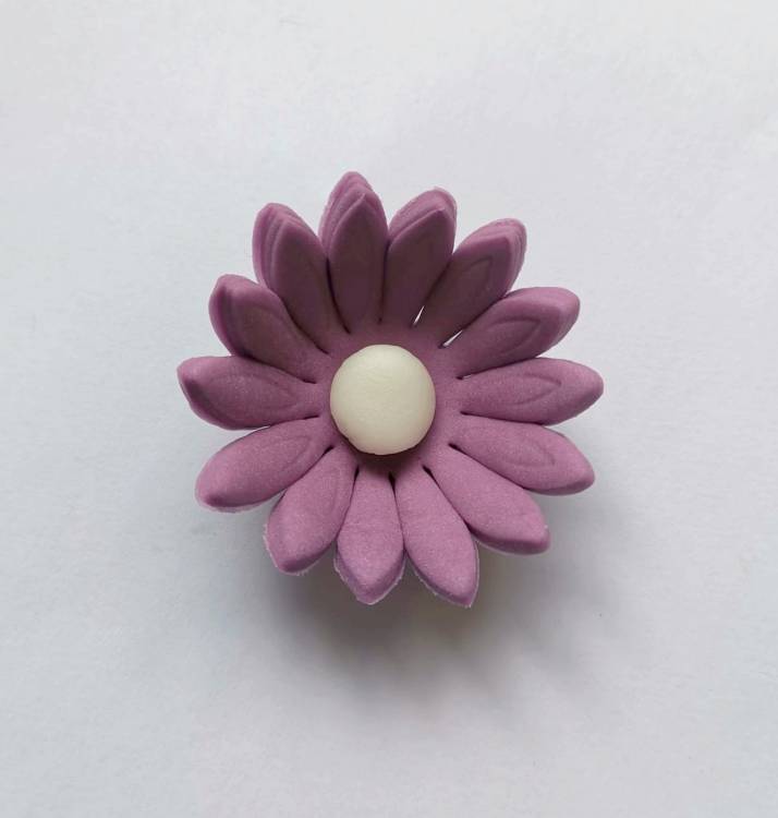 Cukrová sedmikráska malá fialová (25 ks)