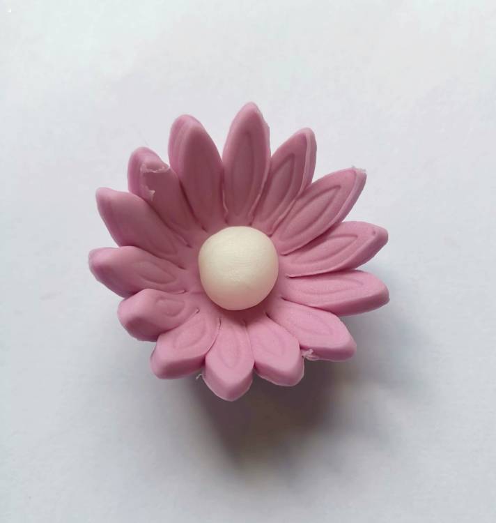 Cukrová sedmikráska malá lila (25 ks)