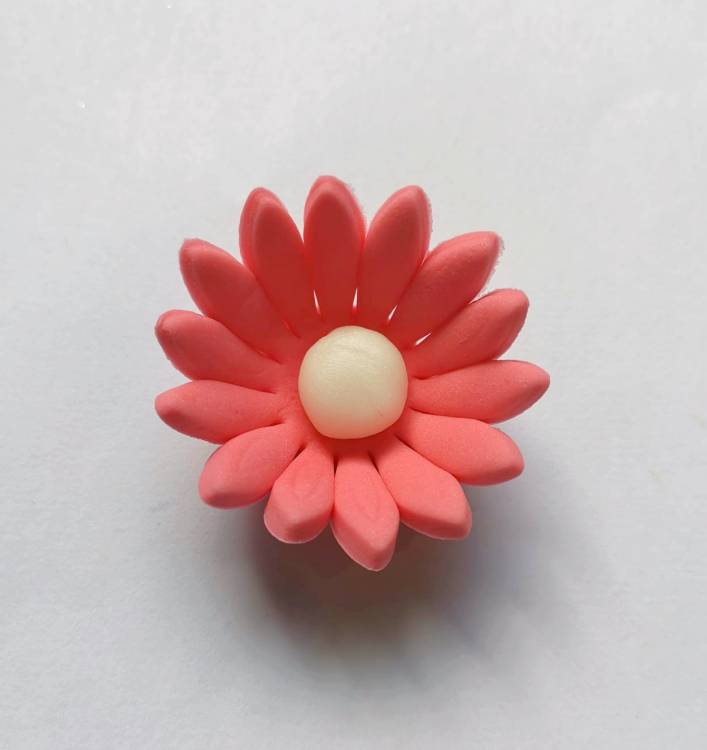 Cukrová sedmikráska malá lososová (25 ks)