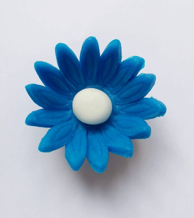 Cukrová sedmikráska malá modrá (25 ks)