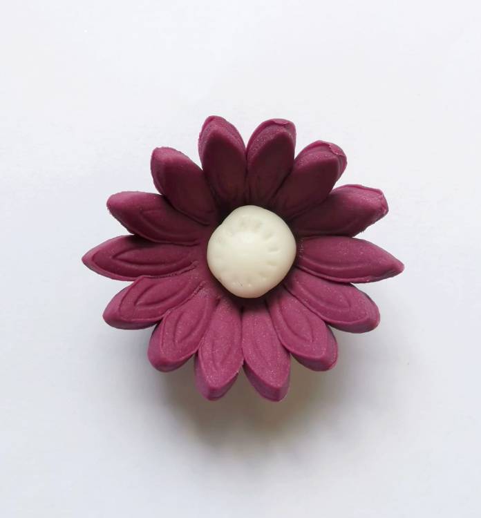 Cukrová sedmikráska malá tmavě fialová (25 ks)