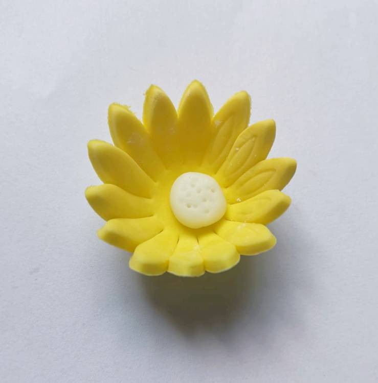 Cukrová sedmikráska malá žlutá (25 ks)