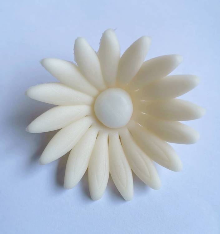 Cukrová sedmikráska velká béžová (9 ks)