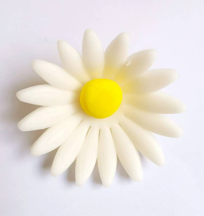 Cukrová sedmikráska velká bílá (9 ks)