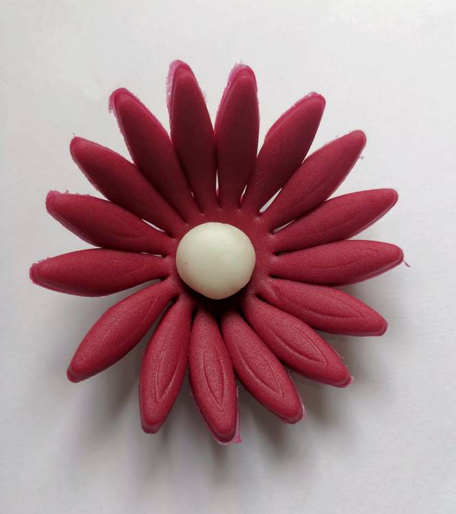 Cukrová sedmikráska velká bordó (9 ks)