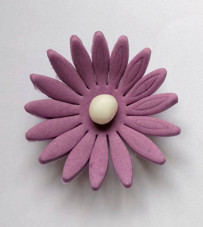 Cukrová sedmikráska velká fialová (9 ks)