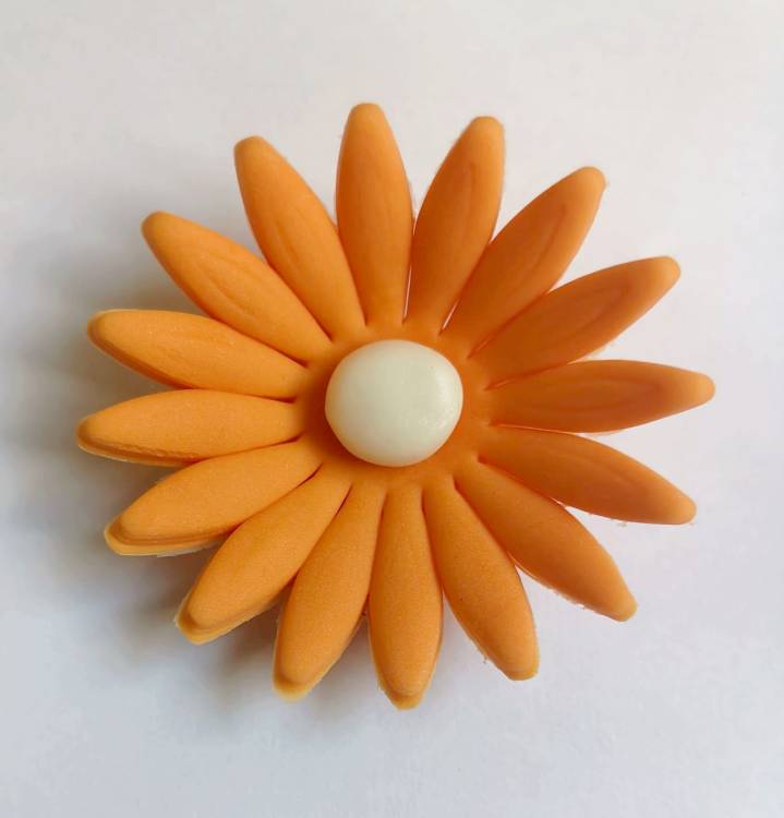 Cukrová sedmikráska velká oranžová (9 ks)