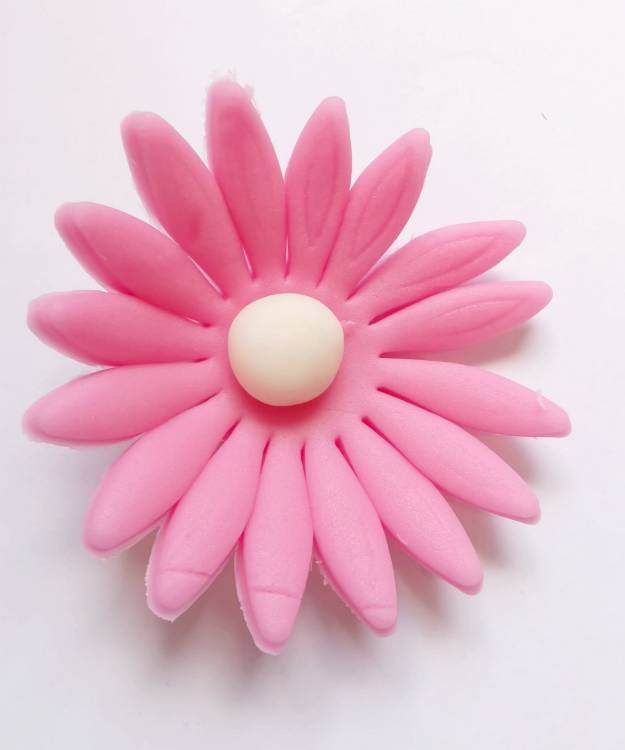 Cukrová sedmikráska velká růžová (9 ks)