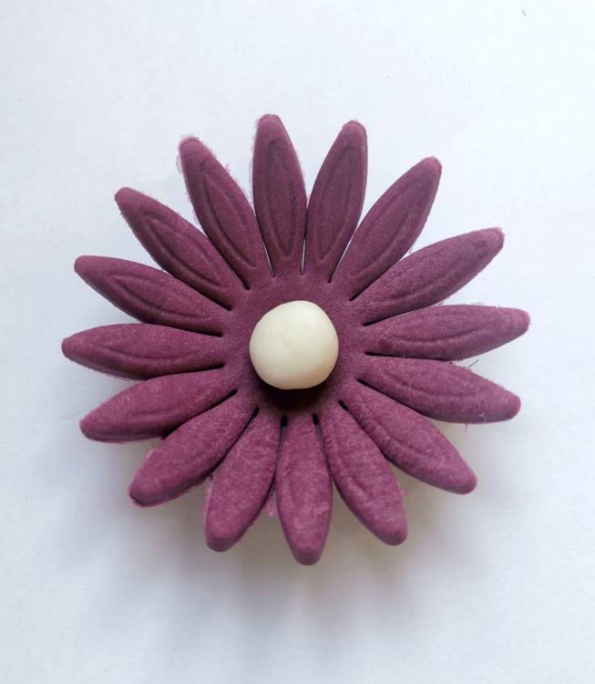 Cukrová sedmikráska velká tmavě fialová (9 ks)