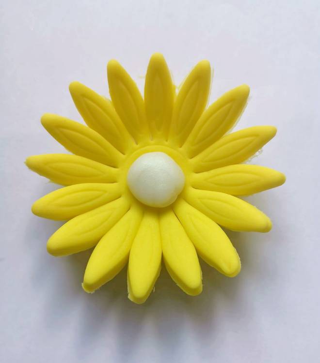 Cukrová sedmikráska velká žlutá (9 ks)