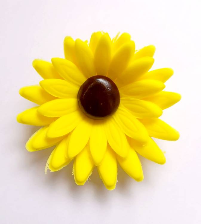 Cukrová slunečnice (9 ks)