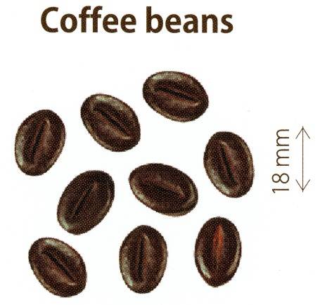 Dekorace Čokoládovo-kávové zrno (50 g)