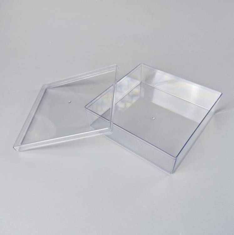 Plastová krabička s víčkem (18,5 x 18,5 x 6 cm)