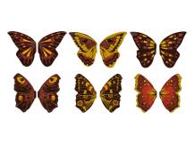 Bombasei Schokoladendekoration Schmetterlinge 4 cm (60 Stück)