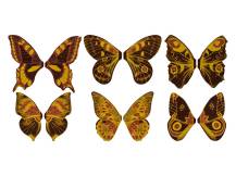 Bombasei čokoládová dekorace Motýlci 7 cm (60 ks)