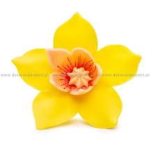 Cukrová dekorácia Päťlistá kvetina žltá (20 ks) Trvanlivosť do 27.5.2024!