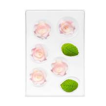 Zuckerdekoration Rose klein weiß-rosa mit Blütenblättern (11 Stück)