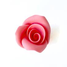 Cukrová růže střední lososová (25 ks)