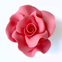 Cukrová růže velká lososová (9 ks)