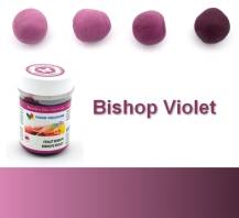 Food Colours gelová barva (Bishop Violet) biskupská fialová 35 g 1