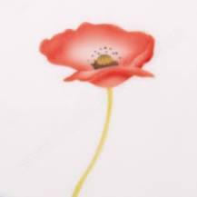 Martellato stencil Small and large poppy and bud