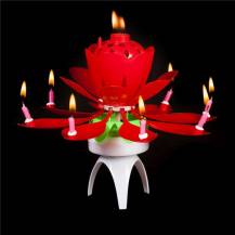 Svíčka s fontánou hrající Květina červená 1