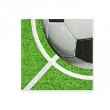 Ubrousky Fotbal (16 ks)